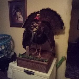 Meet your Posher, Cameron